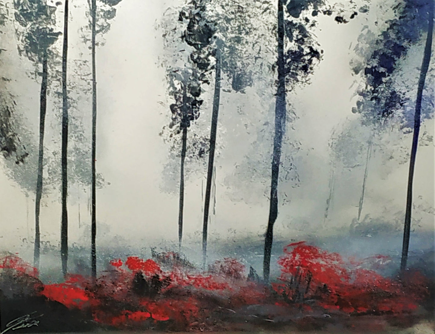 foret mystique
