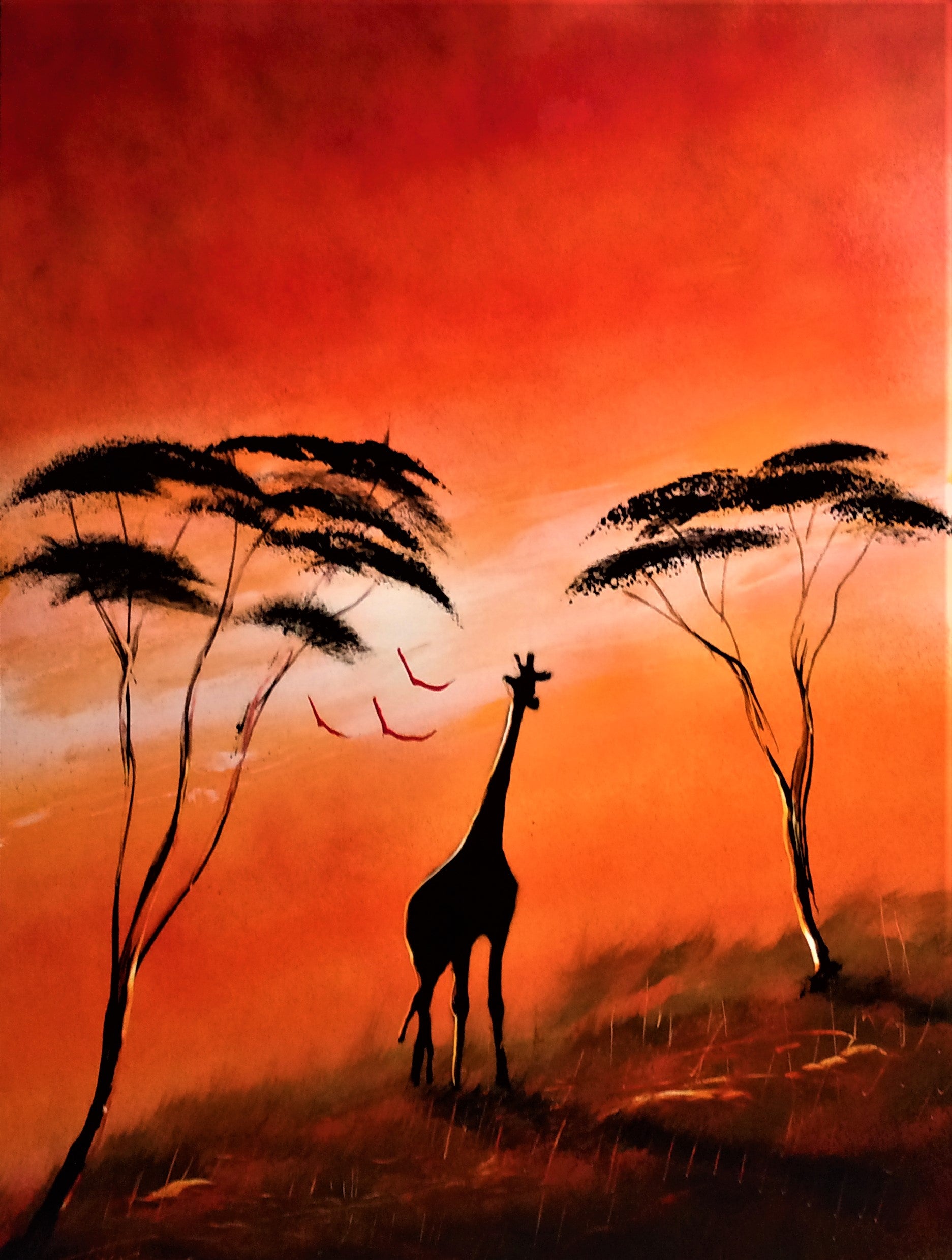 Coucher de soleil sur savane et girafe